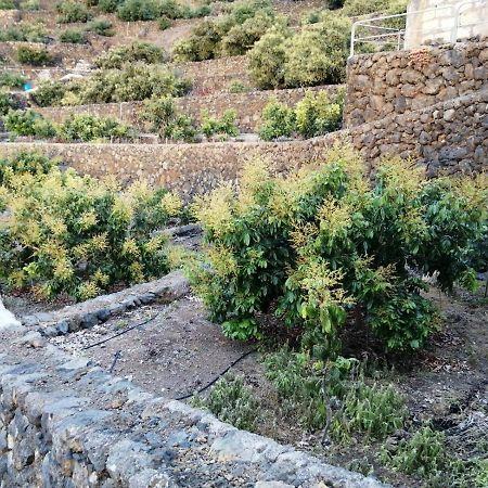 Independent House In Rural Setting Apartment La Orotava Exterior photo